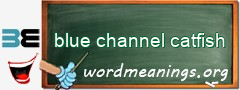 WordMeaning blackboard for blue channel catfish